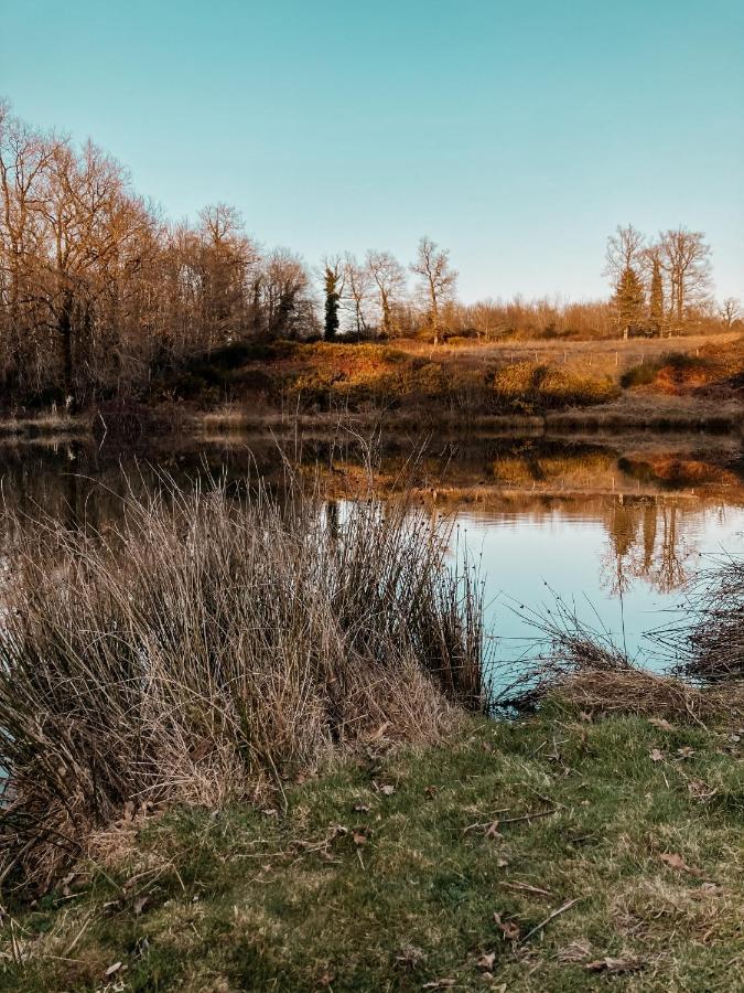 La Ferme Du Pont De Maumy, Cabane Au Bord De L'Etang Et Bain Nordique Busserolles المظهر الخارجي الصورة