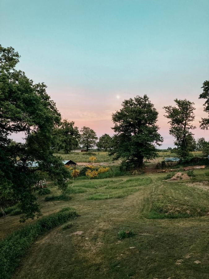 La Ferme Du Pont De Maumy, Cabane Au Bord De L'Etang Et Bain Nordique Busserolles المظهر الخارجي الصورة
